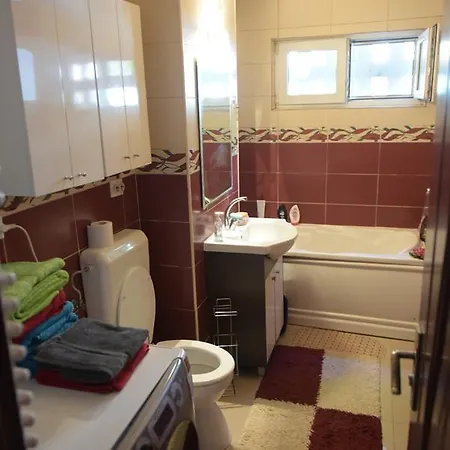 Apartament Torontalului Timişoara
