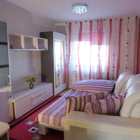 Apartament Torontalului Appartement Timişoara